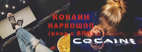 МДПВ Нея